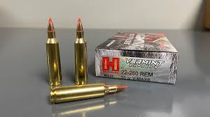 How to Legally Purchase and Transport Ammunition in Canada
